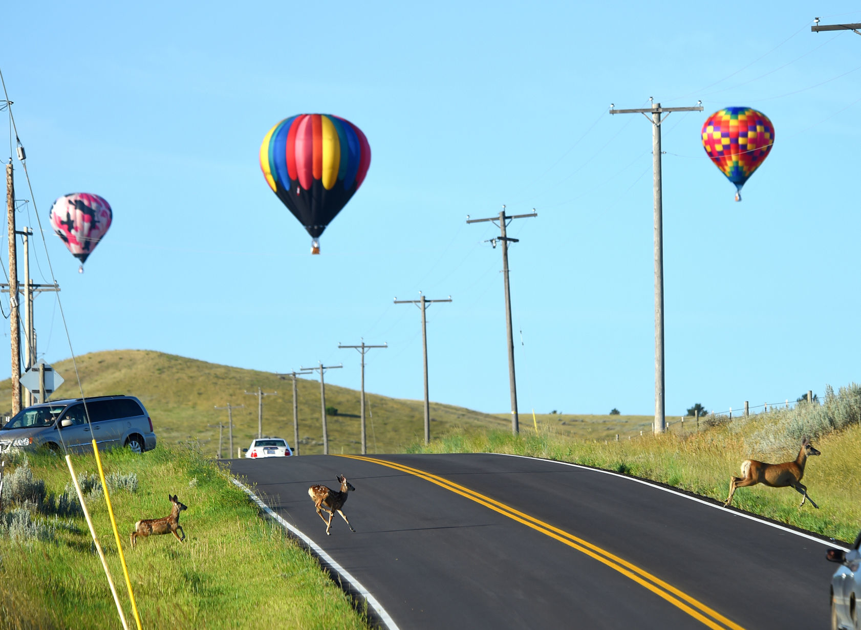 Balloon Rally